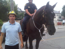 Load image into Gallery viewer, Ranch Horses