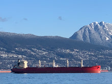 Load image into Gallery viewer, Wisdom