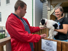 Load image into Gallery viewer, Doggie Daycare