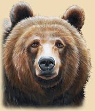 Load image into Gallery viewer, Blue Bear