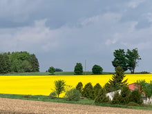 Load image into Gallery viewer, Yellow Farm
