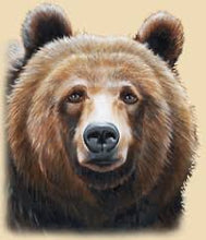 Load image into Gallery viewer, Blue Bear
