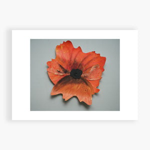 Pinwheel Poppy - Remembrance Day November 11 Printed Card